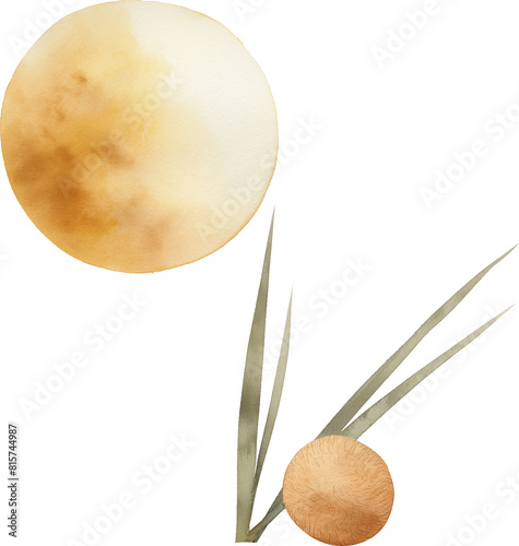 A single Tsukimi dango accompanied by a single reed grass stalk, both overlooking a scenic view of the full moon from a veranda photo