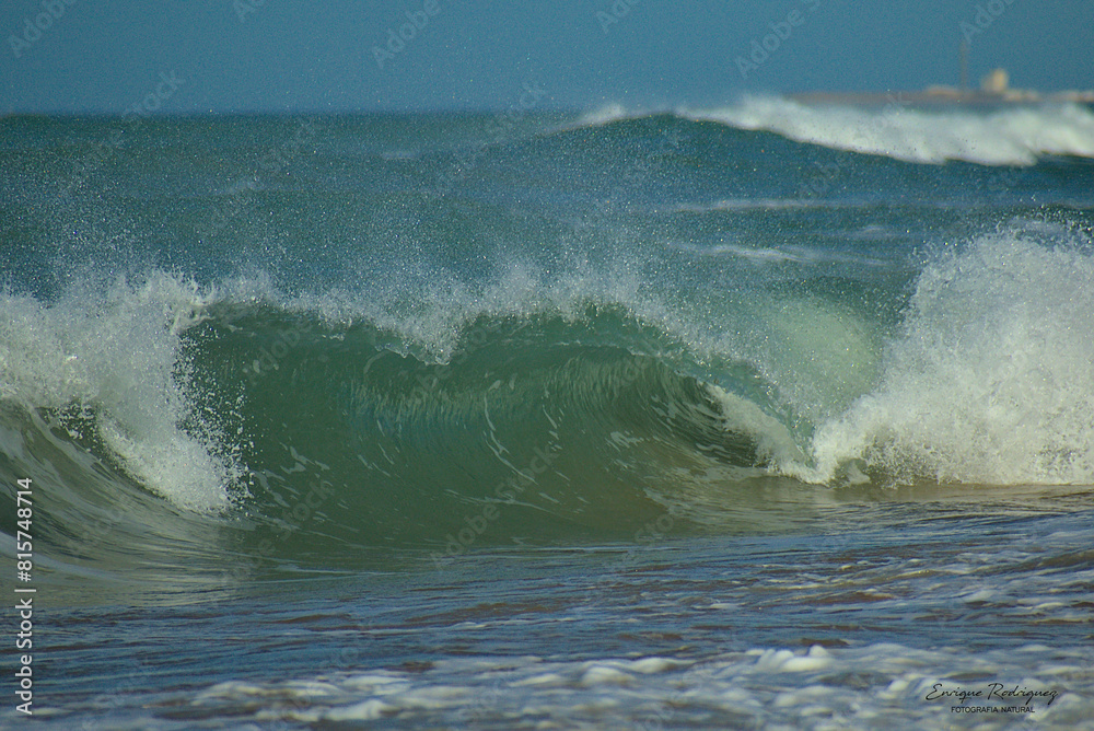 Sea wave breaking in the shape of a tunnel. Sea wave breaking in the shape of a tunnel.