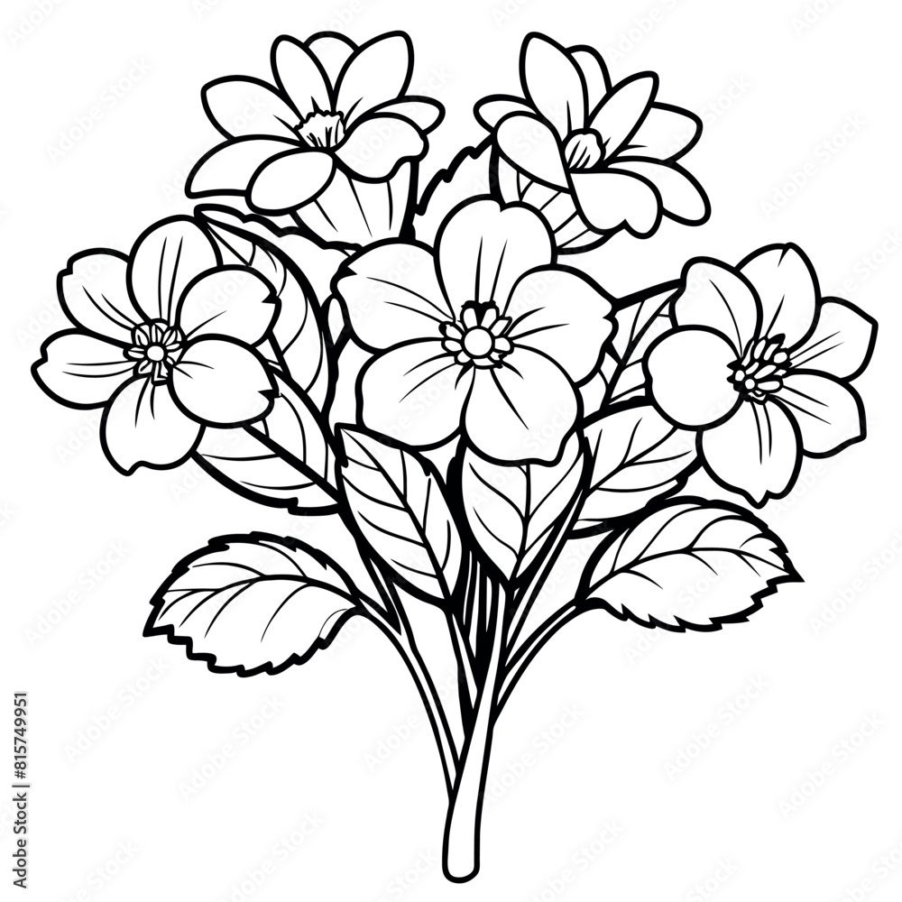 Primrose flower outline illustration coloring book page design, Primrose flower black and white line art drawing coloring book pages for children and adults
