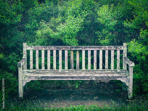 Romantic aged wooden bench in a park surrounded by green vegetation