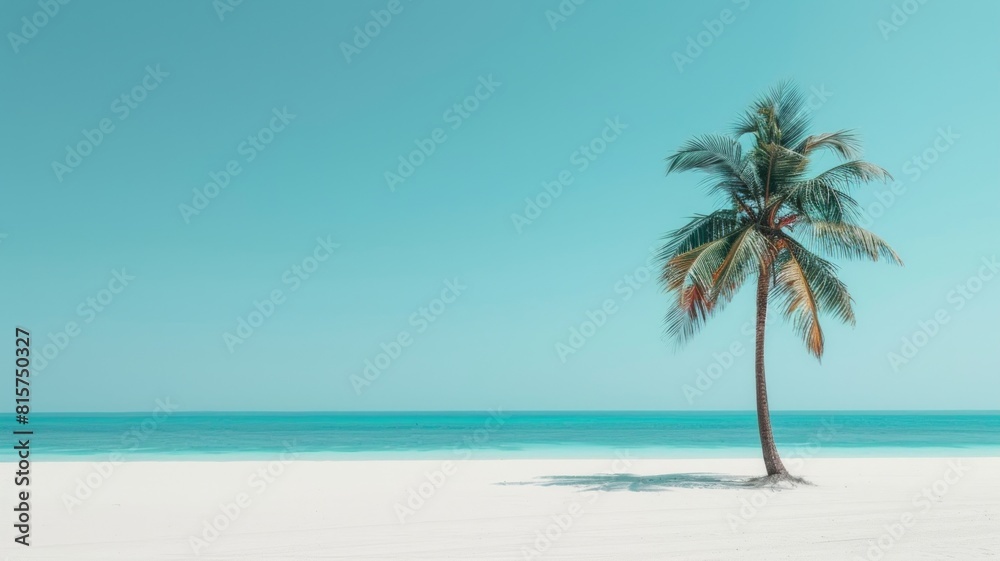 Landscape photo of tropical beach with a palm tree. Turquoise sea and clear sky. Exotic summer destination as amazing beautiful panorama wallpaper. 
