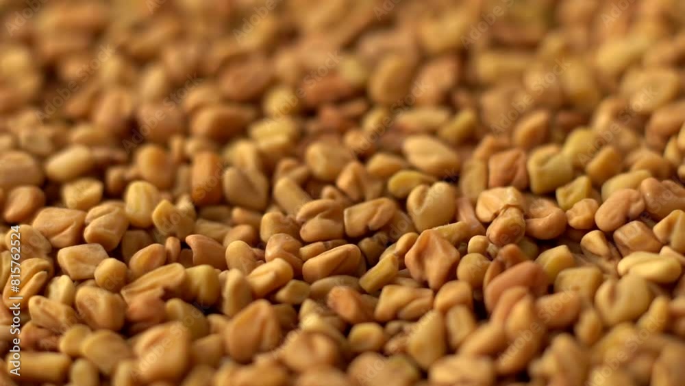 Macro video of fenugreek seeds kept on rotating disk. Macro video of fenugreek seeds kept on rotating disk.