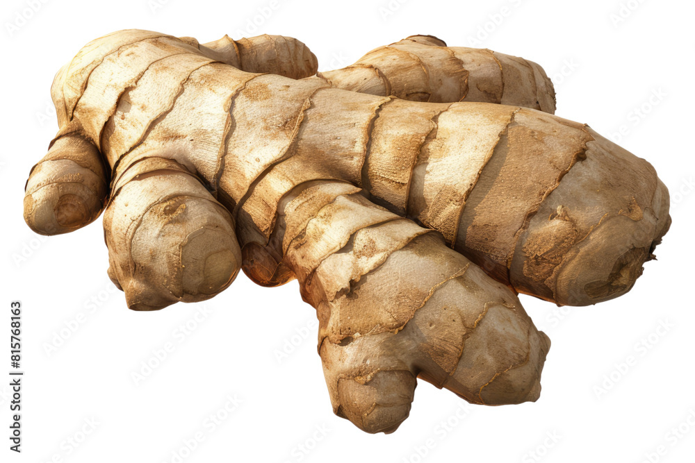Ginger isolated on transparent background Ginger isolated on transparent background