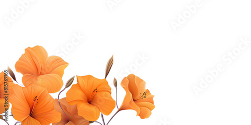 Orange flowers branch isolated on transparent background cutout, for decorating banners