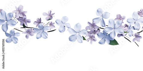 White jasmine flowers branch on transparency background, for decorating banners