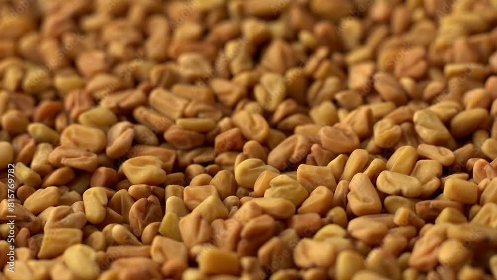 Macro video of fenugreek seeds kept on rotating disk. Close up video of methi seeds. Macro video of fenugreek seeds kept on rotating disk. Close up video of methi seeds.