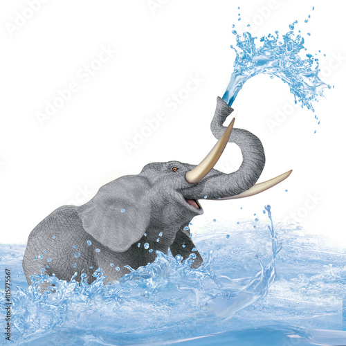   l  phant  mammif  re  africain  chasser  capturer  nager  jouer  eau  vague  