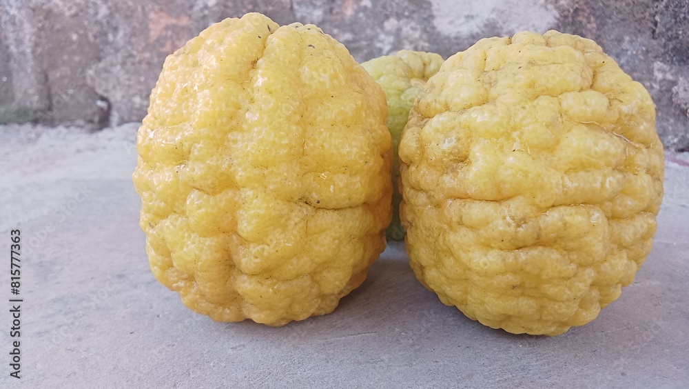 yellow kaffir lime yellow kaffir lime