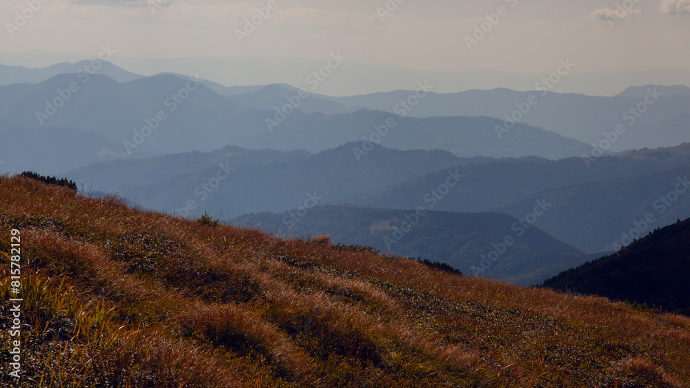 Obraz premium Beautiful sunrise with clouds below in Carpathian mountains, Chornogora