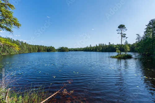 View cross a lake in a forest in Sweden