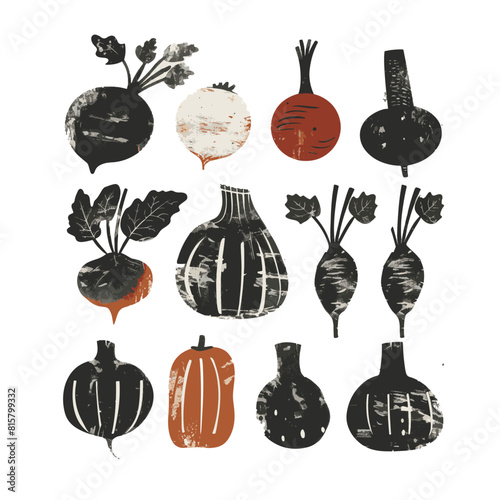 fresh beetroot vegetable illustration. textured poster food print