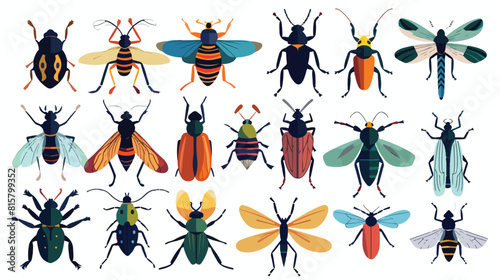 Bundle of different colorful geometric insects with w © Reem