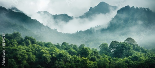 A mist conceals a forested section beside a mountain creating an atmospheric copy space image photo