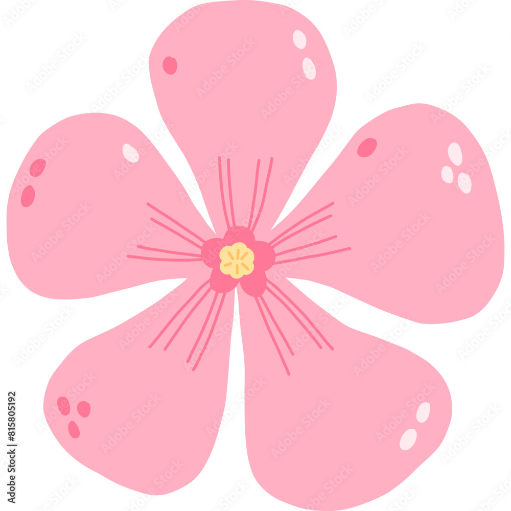 Pink Flower Pink Flower