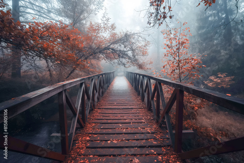 Misty autumn bridge covered with fallen leaves in a forest © Pics_With_Love