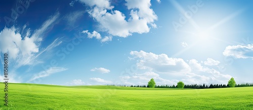Fototapeta Naklejka Na Ścianę i Meble -  A sunny day creates a picturesque landscape with a green lawn stretching towards the sky leaving ample copy space