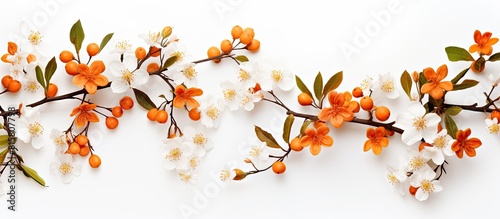 Fototapeta Naklejka Na Ścianę i Meble -  Top view of a fall themed flat lay with beautiful orange flowers on a white background creating an autumn inspired composition with ample copy space