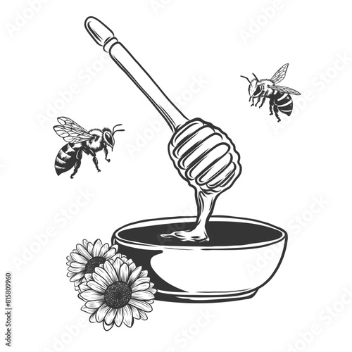 Honey pot, bee, flower and wooden spoon. Hand drawn vintage engraving style illustrations isolated on background