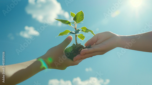 Two hands holding a young plant. - ecology concept.