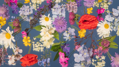 colorful background of seasonal wild flowers on mirror with reflection of the blue sky photo