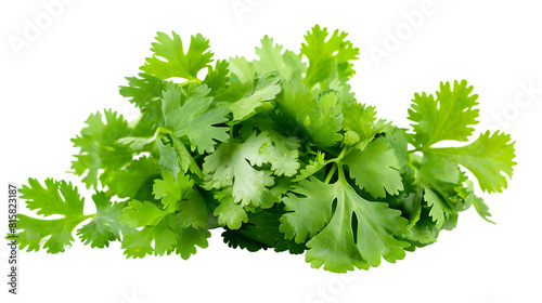 fresh coriander leaves isolated on transparent background