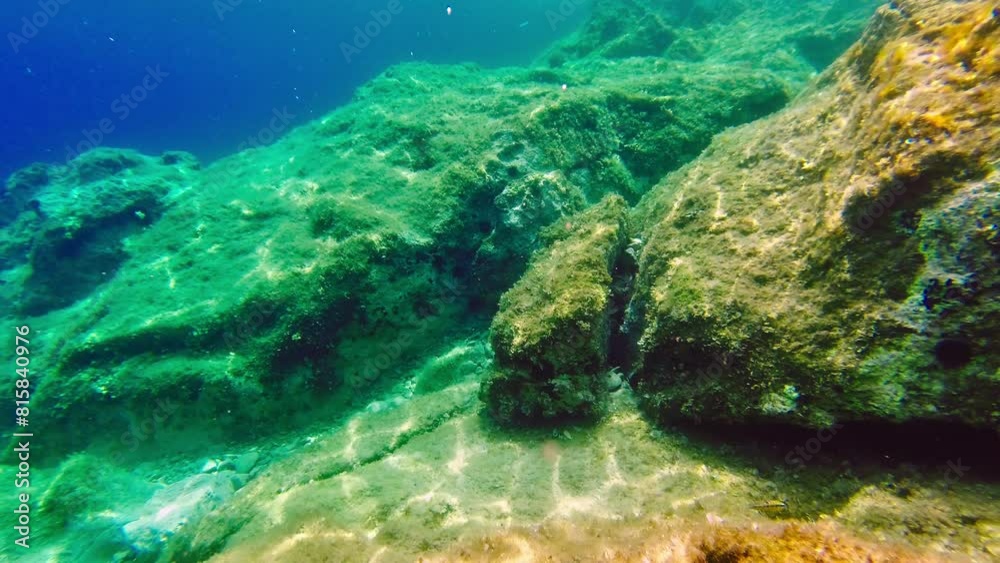 Seabed of the Adriatic sea at sunny summer day. Seabed of the Adriatic sea at sunny summer day.