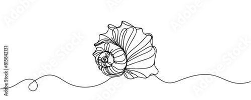seashell  continuous one line drawing. Vector minimalist linear illustration.
