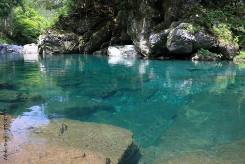 汗見川の水面を眺める　唐越し　（高知県　本山町）