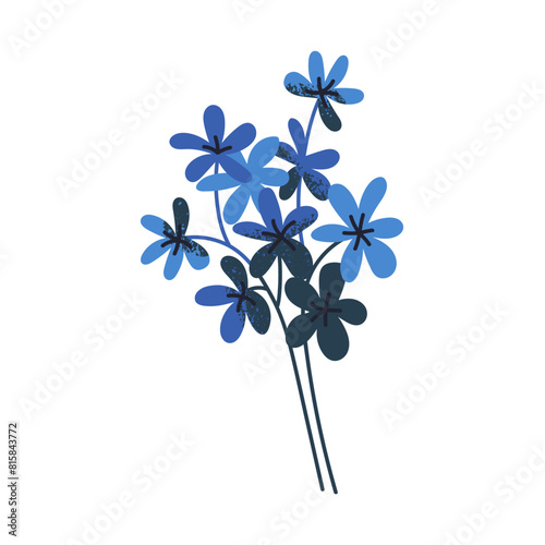 Flower, floral branch. Delicate wildflower blooms, gentle blossoms, thin stem...