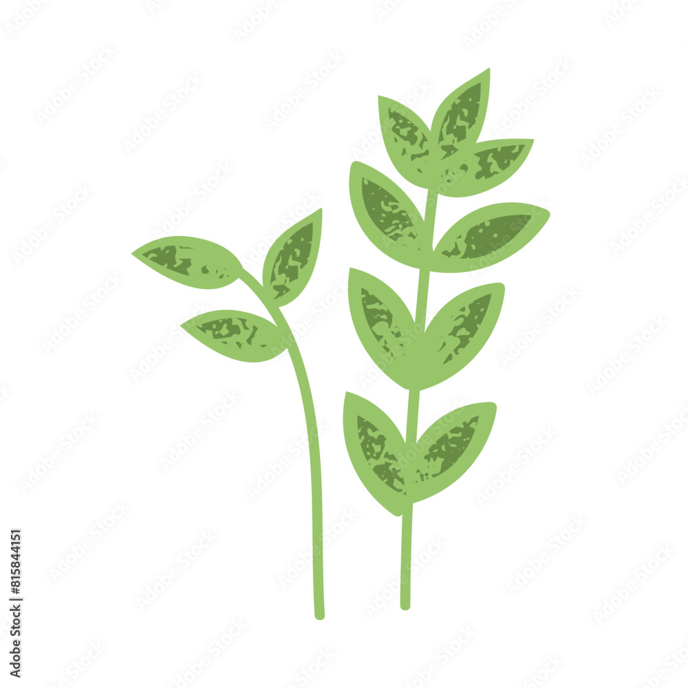 Green leaves, foliage plant branch, sprig. Fresh natural botanical design elements. Greenery twig. Decorative gentle leafy flora composition. Flat vector illustration isolated on white background Green leaves, foliage plant branch, sprig. Fresh natural botanical design elements. Greenery twig. Decorative gentle leafy flora composition. Flat vector illustration isolated on white background
