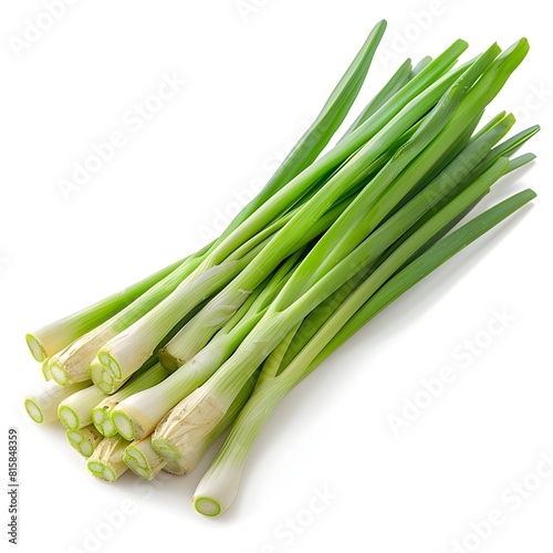 Vibrant Green Leeks - Professional Product Photography of Fresh Herbs