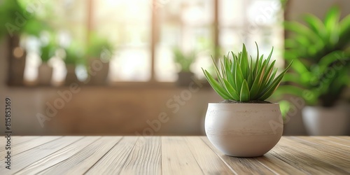 An indoor scene featuring a potted aloe plant set on a wooden tabletop with a blurred background