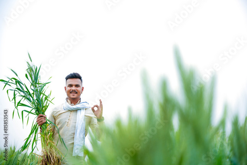 Young Indian farmer in a field of green wheat