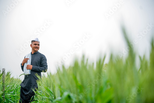 Young Indian farmer in a field of green wheat