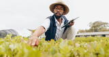 Black man, tablet and farming in greenhouse for harvest, production or inspection of crops or resources in nature. African male person with technology in agriculture for natural or fresh produce