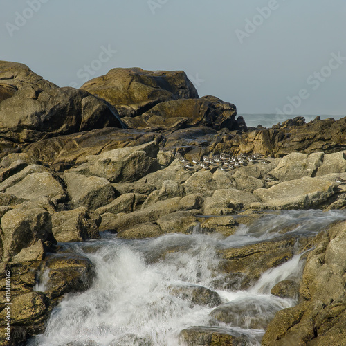 Rocky coast cascade © Zacarias da Mata