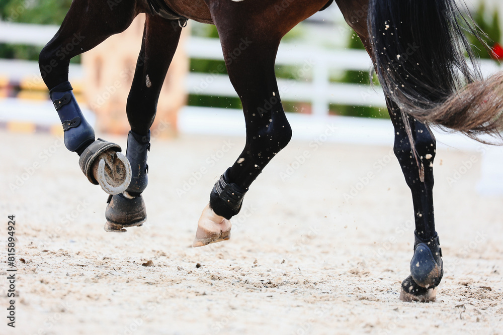 Gallop of a dark tail bay horse. Rear view. Equestrian sports, Show jumping. Gallop of a dark tail bay horse. Rear view. Equestrian sports, Show jumping.