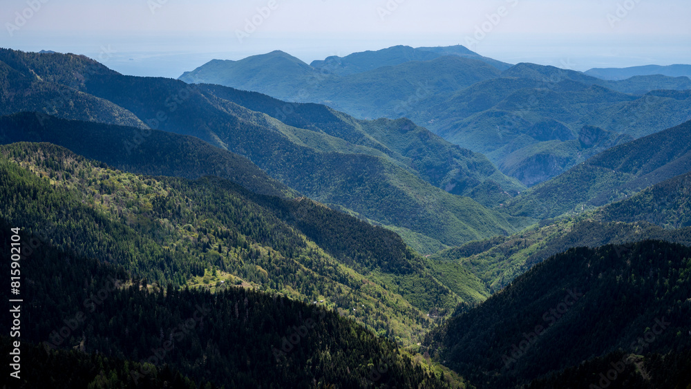 Paysage de montagne couverte de forêt dans les Alpes-Maritimes autour de Peïra Cava au printemps