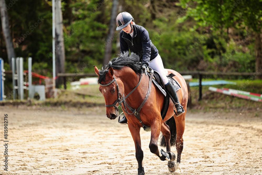 Jumping horse, horse, with rider in the jumping course at a tournament. Jumping horse, horse, with rider in the jumping course at a tournament.