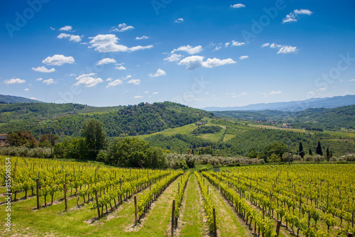 Wallpaper Mural Italia, Toscana, Firenze, Pontassieve, vigneti del Chianti Rufina. Torontodigital.ca