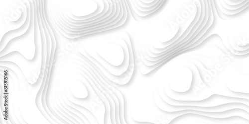 Abstract white paper cut template.  white papercut background. Topographic dynamic backdrop illustration. 