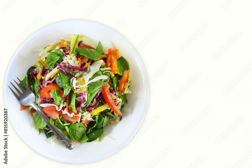 fresh vegetable salad with spinach,cucumber,avocado,tomato,bell pepper,pepper,radish,lettuce,oil,olive,onion,cabbage,palak,beet,kale,bean,feeta cheese,vinegar,white background,copy space top view
fresh vegetable salad with spinach,cucumber,avocado,tomato,bell pepper,pepper,radish,lettuce,oil,olive,onion,cabbage,palak,beet,kale,bean,feeta cheese,vinegar,white background,copy space top view