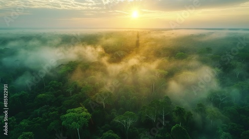 Aerial view of the Amazon forest at sunset, soft fog enveloping the trees with the sun glowing at the horizon
