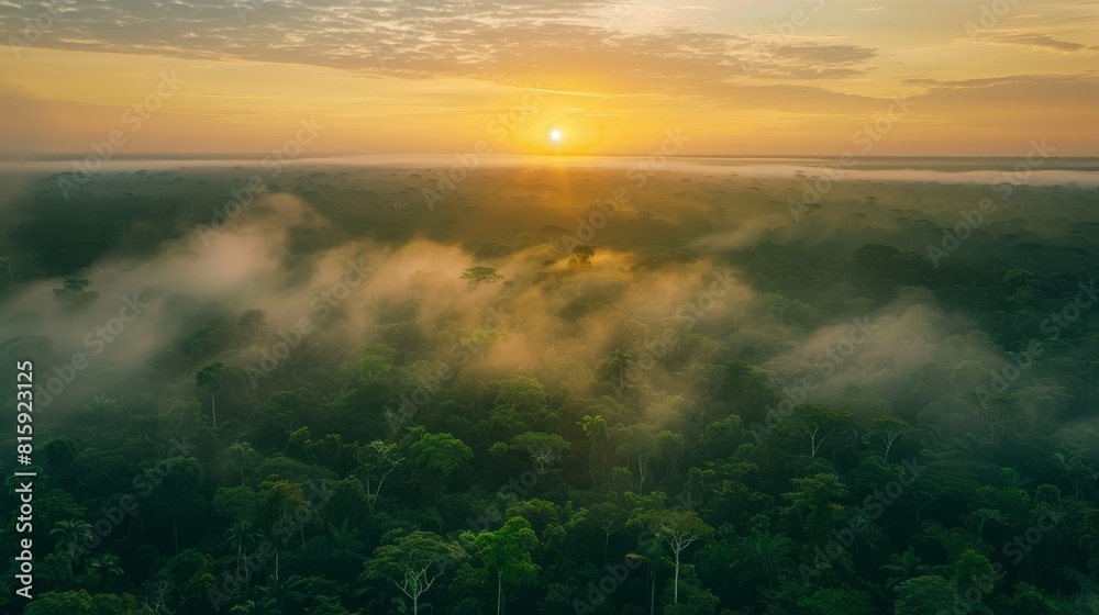 Aerial panorama of the Amazon forest during sunset, the horizon lit by a soft sun, with fog creating a mystical atmosphere Aerial panorama of the Amazon forest during sunset, the horizon lit by a soft sun, with fog creating a mystical atmosphere