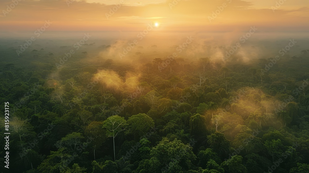 Aerial panorama of the Amazon forest during sunset, the horizon lit by a soft sun, with fog creating a mystical atmosphere Aerial panorama of the Amazon forest during sunset, the horizon lit by a soft sun, with fog creating a mystical atmosphere
