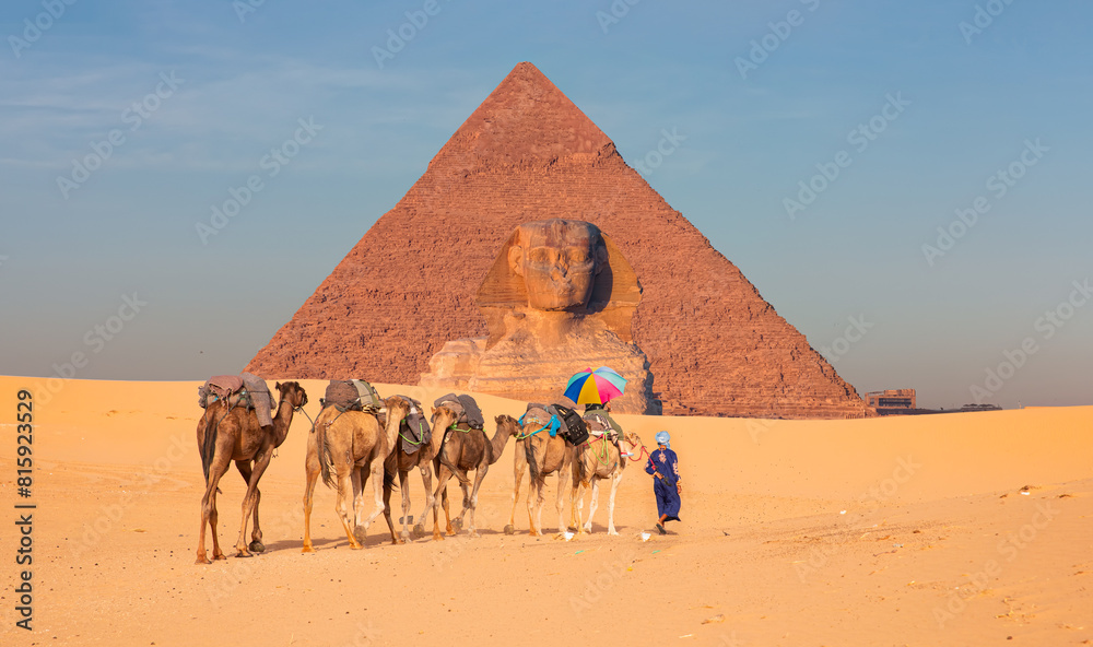 A woman tourist riding a camel with a multicolored umbrella - Camels in Giza Pyramid Complex - Cairo, Egypt