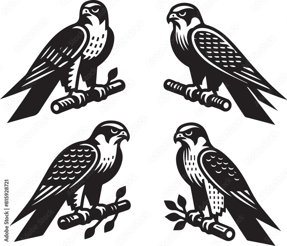 Obraz premium falcon vector ilastration