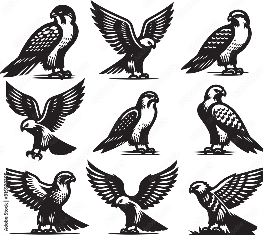 Fototapeta premium falcon vector ilastration