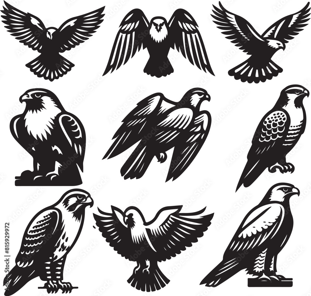 falcon vector ilastration falcon vector ilastration