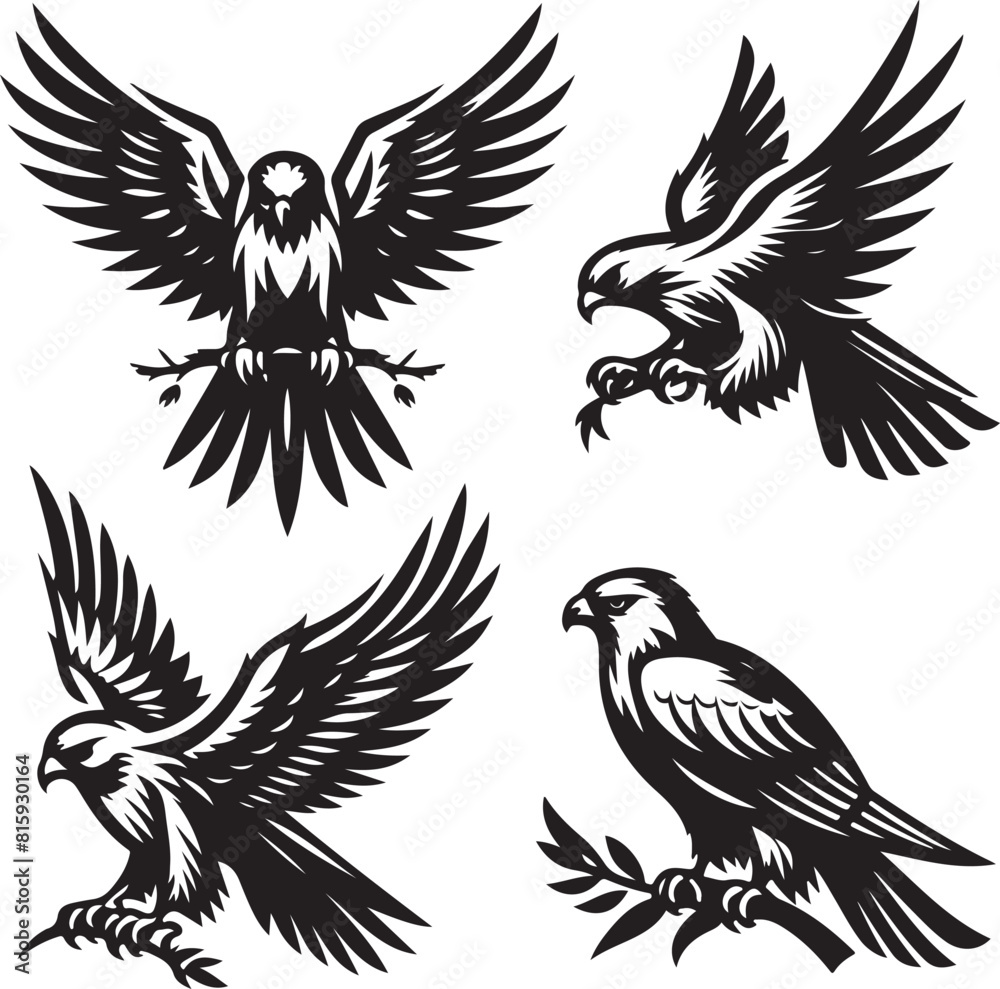 Obraz premium falcon vector ilastration